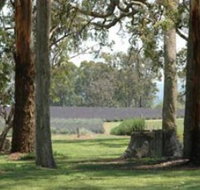 Aloomba Lavender - Surfers Gold Coast
