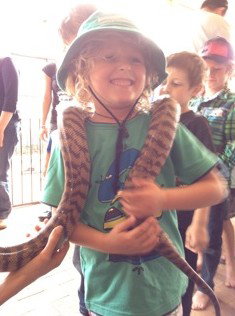 West Oz Wildlife Petting Zoos - Surfers Gold Coast 3