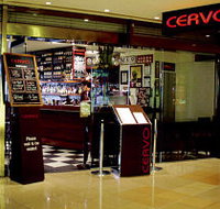 Cervo - Surfers Gold Coast