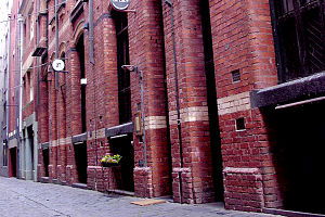 De Lacy - Surfers Gold Coast 0