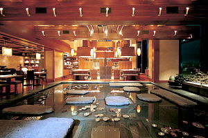 Koko - Surfers Gold Coast 0