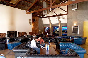 Mosskito - Surfers Gold Coast 0