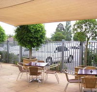 Coach  Horses - Surfers Gold Coast