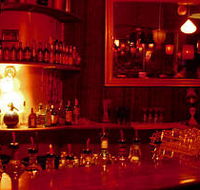 The Night Cat - Surfers Gold Coast