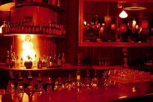 The Night Cat - Surfers Gold Coast 0