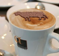 Brown Cow - Surfers Gold Coast