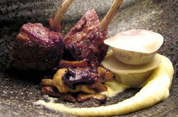 Bars Double Bay NSW Surfers Gold Coast