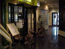 Talbot Hotel - Surfers Gold Coast 1