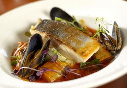 Hotel Max - Surfers Gold Coast 1