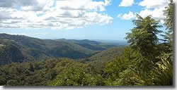 St Bernards Hotel - Surfers Gold Coast 1