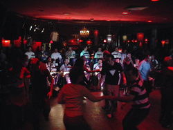 The Night Cat - Surfers Gold Coast 1