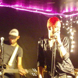 The Brass Monkey - Surfers Gold Coast 1