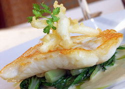 The Courthouse Hotel - Brunswick - Surfers Gold Coast 1