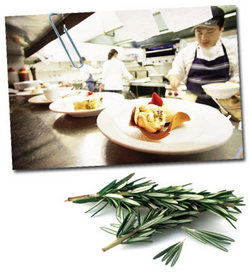 Clovelly Hotel - Surfers Gold Coast 2