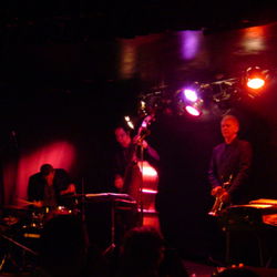 The Brass Monkey - Surfers Gold Coast 2