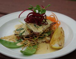 Bird In Hand Inn - Surfers Gold Coast 2