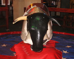 The Woolshed On Hindley - Surfers Gold Coast 3