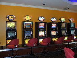 Wee Willie's Tavern - Surfers Gold Coast 3