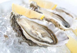 Seagulls Club - Surfers Gold Coast 2