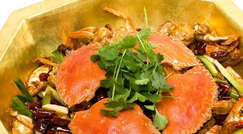 Red Chilli Sichuan Restaurant - Surfers Gold Coast 1
