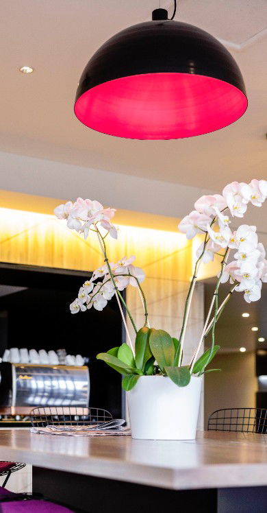 MRepublic Restaurant, Bar And Lounge - Surfers Gold Coast 4