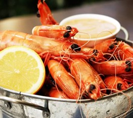 Full Moon Hotel - Moonlight Dining - Surfers Gold Coast 0