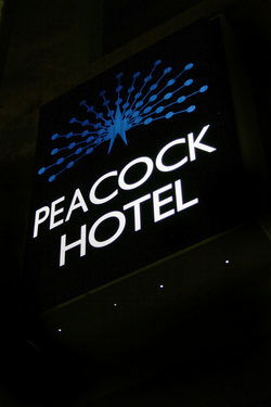Peacock Inn Hotel - Surfers Gold Coast 0