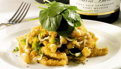 Plan B Lounge - Surfers Gold Coast 1