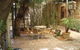 Pratty's Patch - thumb 1