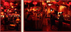 Tiger Lils - Surfers Gold Coast 2