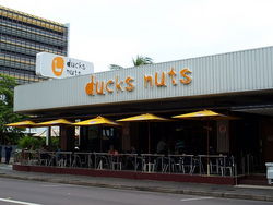 Ducks Nuts Bar & Grill - Surfers Gold Coast 2
