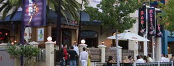 Tiger Lils - Surfers Gold Coast 3
