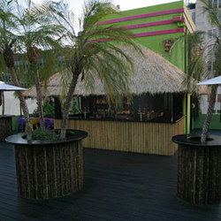 The Carlton  - Surfers Gold Coast 3