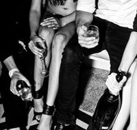 Beach Haus - Surfers Gold Coast