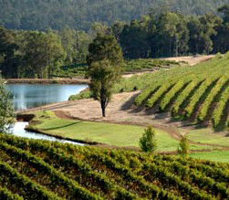 Paynedale WA Surfers Gold Coast