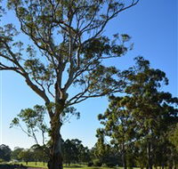 Ryde-Parramatta Golf Club - Surfers Gold Coast