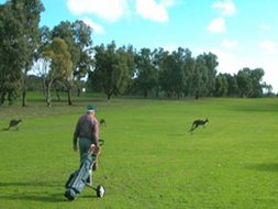 Coffin Bay Entertainment Venues Surfers Gold Coast Surfers Gold Coast