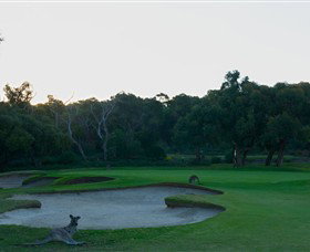 Anglesea Golf Club - Surfers Gold Coast 8
