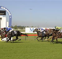Kembla Grange Racecourse - Illawarra Turf Club - Surfers Gold Coast
