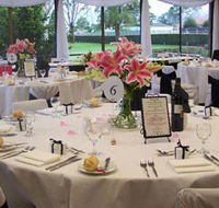 Club Taree - Surfers Gold Coast