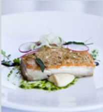 PJ's Irish Sports Bar & Bistro @ The Criterion Hotel - Surfers Gold Coast 0