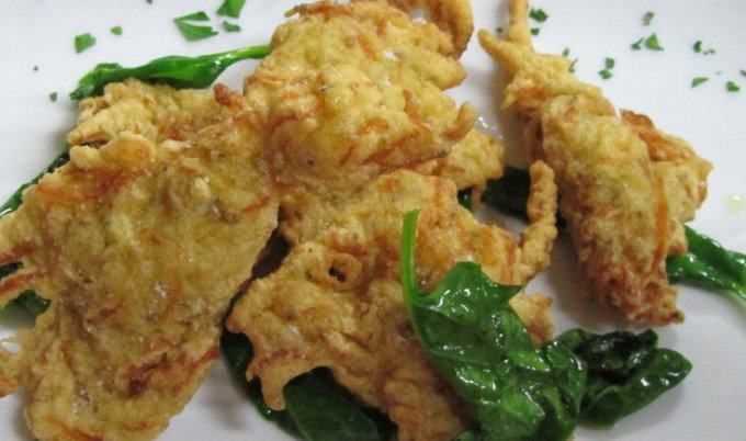 Haberfield NSW Surfers Gold Coast