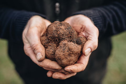 A Taste Of Truffles - Surfers Gold Coast 0