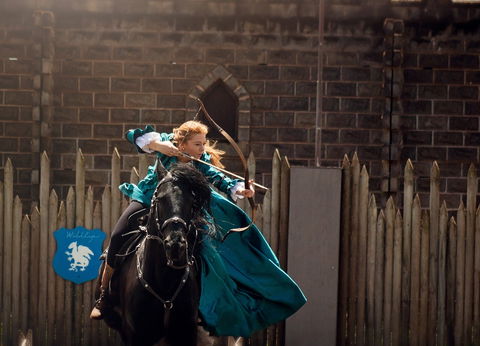 Baroque Horse Festival - Surfers Gold Coast 0