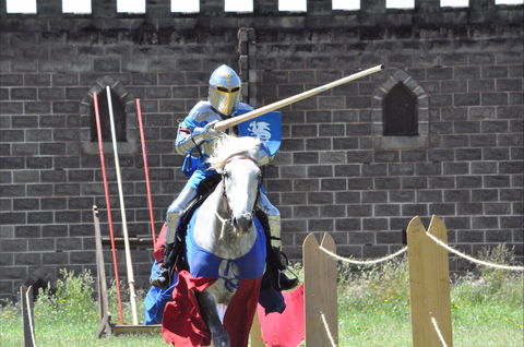 Baroque Horse Festival - Surfers Gold Coast 1