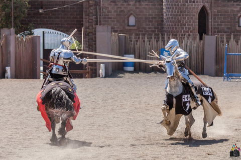 Baroque Horse Festival - Surfers Gold Coast 2