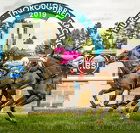 Bathurst Cup - Surfers Gold Coast