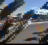 Bunny Bazaar - Surfers Gold Coast