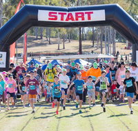 Ipswich Hospital Foundation Virtual Park2Park - Surfers Gold Coast