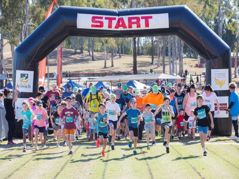 Ipswich Hospital Foundation Virtual Park2Park - Surfers Gold Coast 0